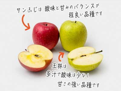【先行予約】《特選》青森県産 りんご サンふじ 王林 約5kg りんご【11月～発送】