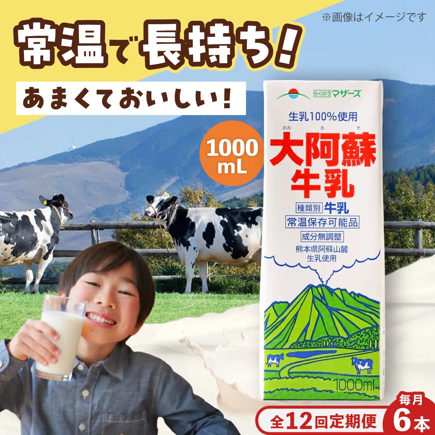 【全12回定期便】大阿蘇 牛乳 1000ml 紙パック 6本入 牛乳 BHBY026