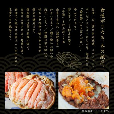 ふるさと納税 小松市 【先行予約】「香箱ガニ」3杯セット 石川冬の味 かに 蟹 せこがに |  | 01