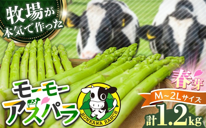 
                  モーモーアスパラ 春芽 M / L / 2L セット 1.2kg（3月中旬から順次発送）酪農 牧場 こだわり アスパラガス アスパラ モーモーアスパラ 野菜 春 春芽 あすぱらがす あすぱら 大分県 日田市 / 株式会社本川牧場 [ARAI032]
                