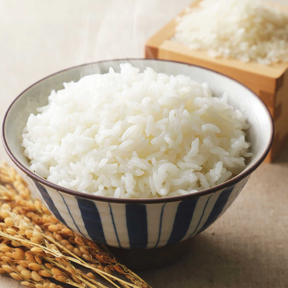 【ふるさと納税】令和7年度産 栗東産 こんぜ清流米 コシヒカリ10kg / 白米 お米 ご飯 コメ 特別栽培米 近江米 / 栗東市 / レーク滋賀農業協同組合[BIBV009]