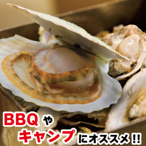 牡蠣 ホタテ カンカン 焼き かき 8個 ほたて 4枚 カキ 貝柱 殻付牡蠣 冷凍 三陸 赤崎産牡蠣 加熱用牡蠣 魚貝類 加工食品 殻付きかき 牡蠣 カキ  オイスター oyster アヒージョ バー