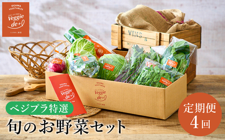 旬の新鮮なお野菜を産地直送！ベジプラ特選 旬の野菜セット【定期便：4回　春(5月)・夏(7月)・秋(11月)・冬(1月) 】 / 野菜 詰め合わせ セット 野菜セット 新鮮 ギフト やさい 苦みが少な