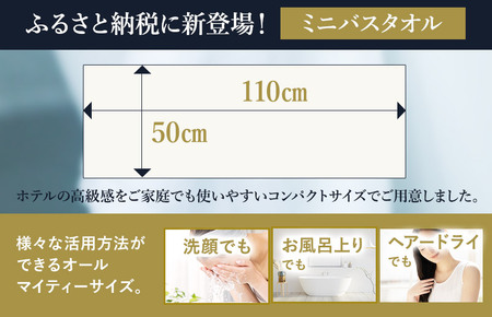 （今治タオルブランド認定）すごいタオル ミニバスタオル 4枚 （グレー） [I003590MBT4GY]