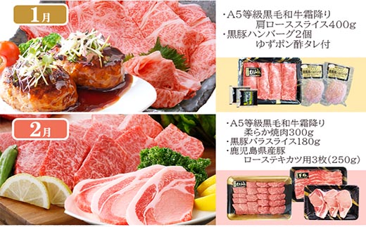 定期便(1年で10回配送)枕崎お楽しみ便(A5等級黒毛和牛・黒豚・黒豚加工品etc)II-6002【1166753】_ ふるさと納税 定期便 牛肉 豚肉 霜降り 焼肉 しゃぶしゃぶ 生姜焼き ステーキ ハンバーグ ソーセージ もつ鍋 餃子