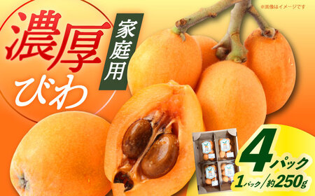 【先行予約】びわ 4パック【2026年6月発送】【神川農園】 [DBT006] びわ