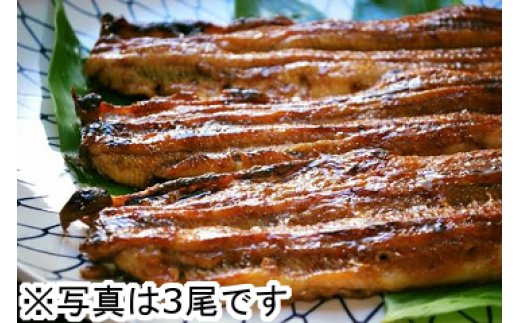 【一度食べたらやみつき！リピート多数 】うなぎ蒲焼２尾セット【D009U】