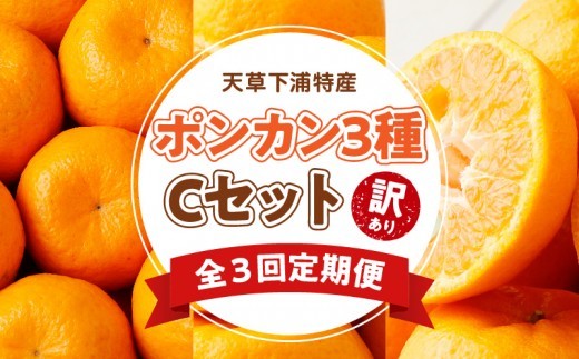 S040-T07A_【定期便3回】天草 下浦特産ポンカン3種Cセット（訳あり）【先行受付】