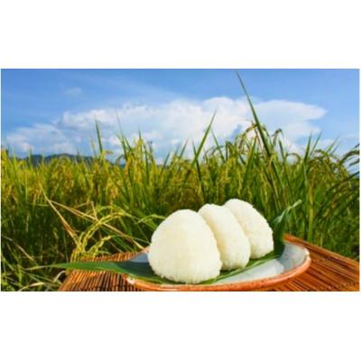 ふるさと納税 真庭市 【令和7年産】真庭市産 ひとめぼれ 無洗米 5kg |  | 03