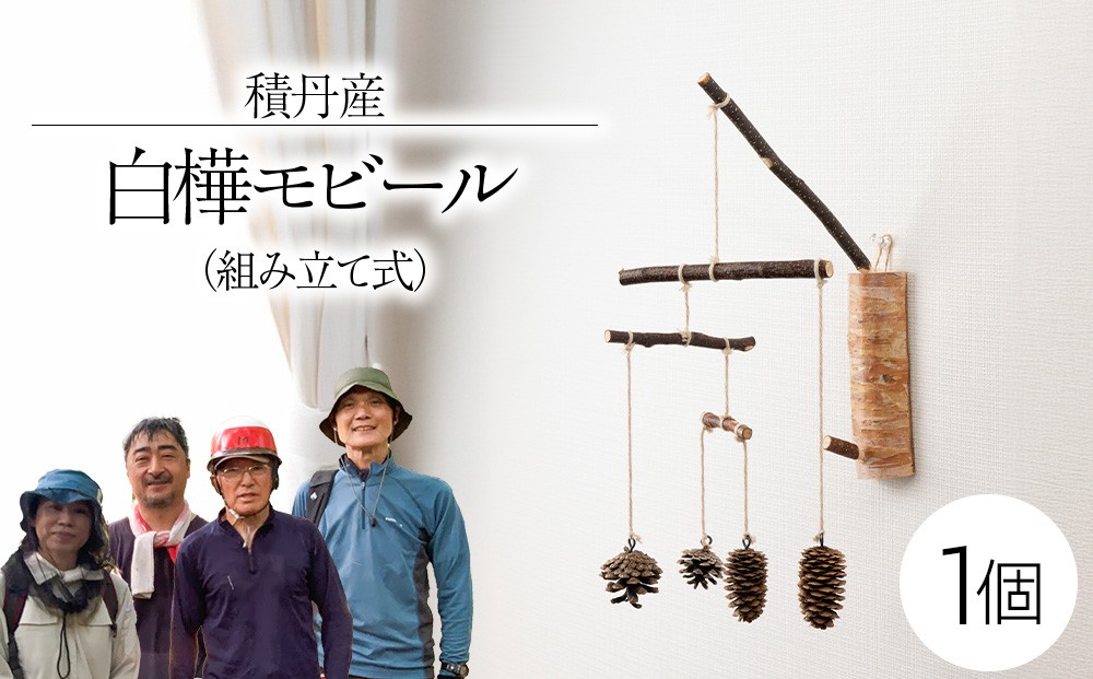 
                  白樺モビール ×1
                