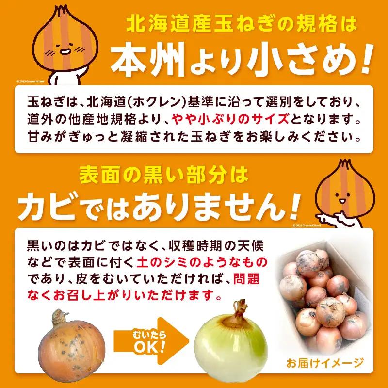  【予約：2026年9月上旬から順次発送】JAきたみらい産 玉ねぎ Lサイズ 10kg ( タマネギ たまねぎ 野菜 )【210-0003-2026】