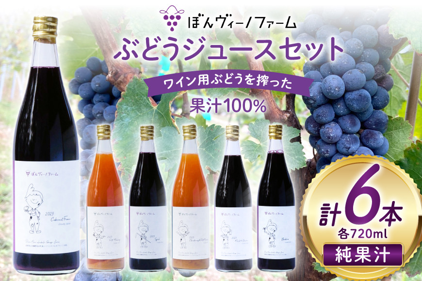 
                  【純果汁】 ワイン用 ぶどうジュース 6本セット [ぼんヴィーノファーム 長野県 池田町 48110735] 葡萄 ブドウ ストレート ギフト 純果汁 果汁 100
                