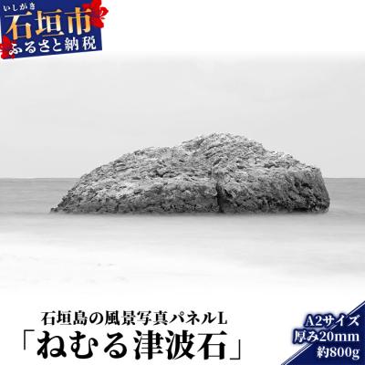 ふるさと納税 石垣市 石垣島の風景 写真パネルL(ねむる津波石) NN-6
