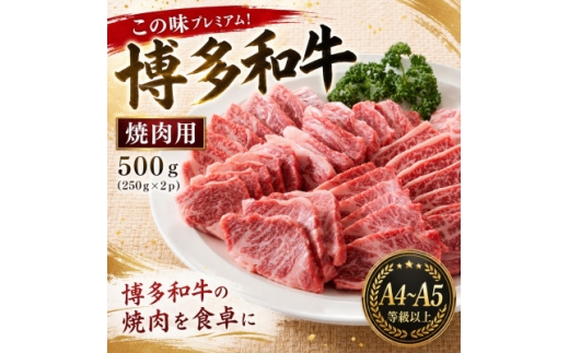 この味プレミアム!＜A4～A5＞博多和牛焼肉用　500g(250g×2p)(大牟田市)【1758353】