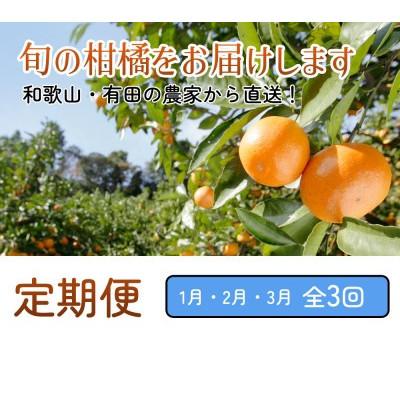 ふるさと納税 広川町 【発送月固定定期便】厳選 柑橘定期便M(1〜3月)全3回 |  | 01
