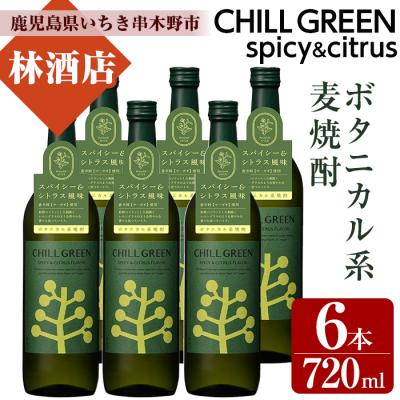ふるさと納税 いちき串木野市 CHILL GREEN(チルグリーン)720ml×6本 計6本【林酒店】