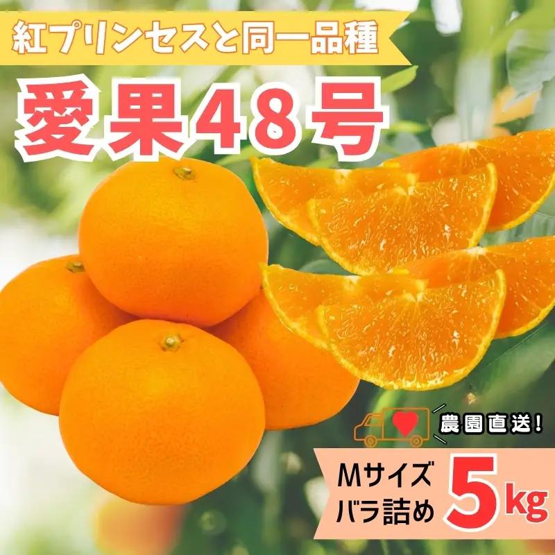 【2027年先行予約】みかん 愛果48号 5kg Mサイズ バラ詰め 贈答用 【2027年3月中旬より順次発送予定】 紅プリンセスと同一品種 農園直送 愛媛 数量限定 愛媛県産 人気 柑橘 伊予市｜C192