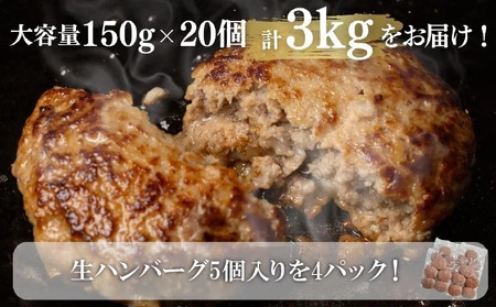 【R8.02月発送】淡路島玉ねぎ入れすぎハンバーグ ３kg（150ｇ×20個） 冷凍