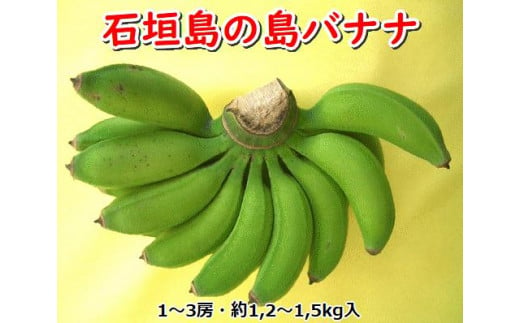 
石垣島の島バナナ、1～3房（約1,2～1,5kg前後入り） 爽やか酸味のスッキリ系バナナ、少し冷やしてもイイんです！　SI-33
