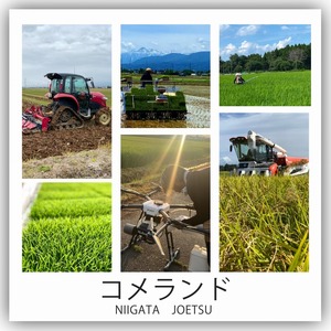 【4月下旬発送】令和7年産 上越市産 コシヒカリ 5kg 5キロ 精米 新潟県 上越市 板倉区 コメランド こしひかり 限定 おすすめ 米 コメ