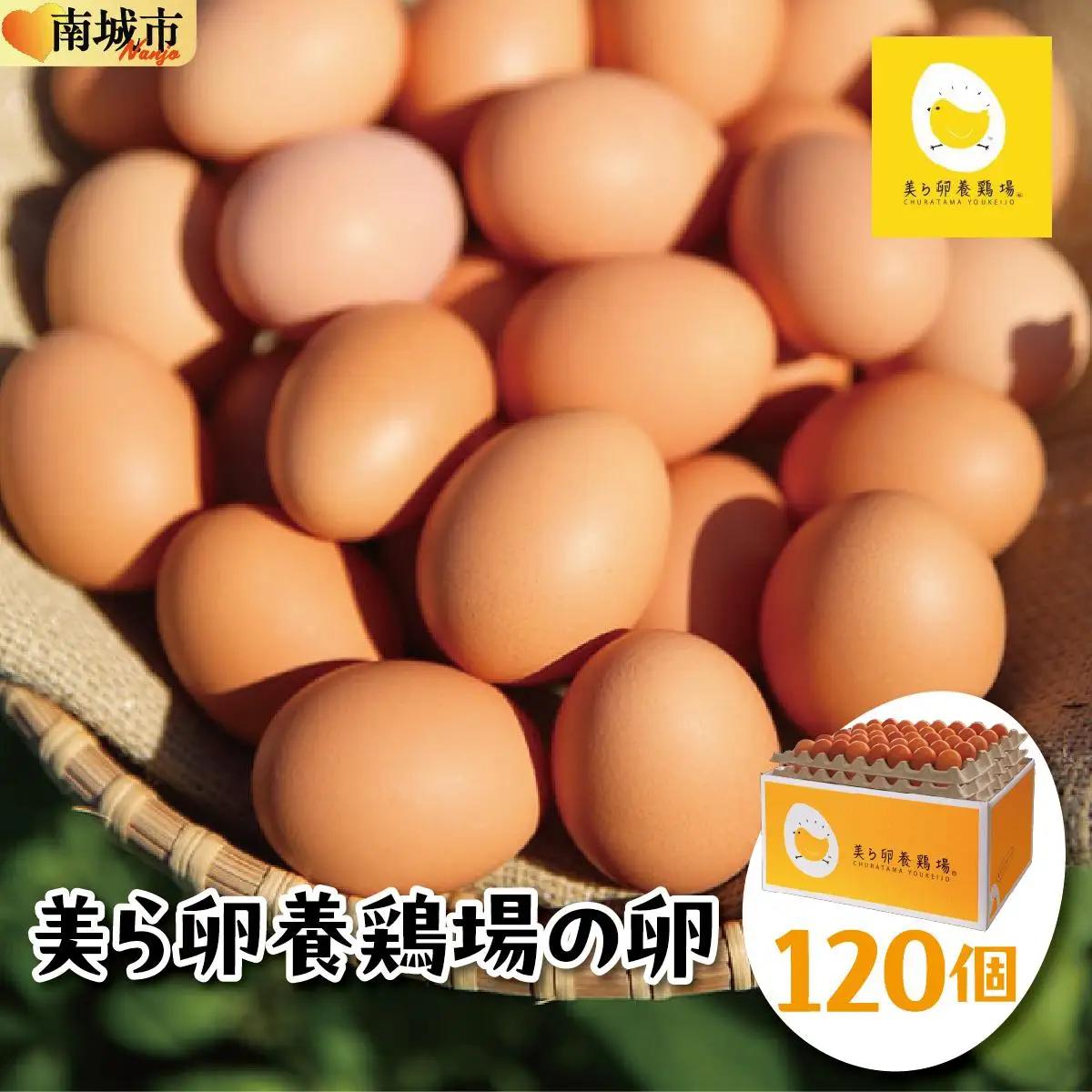 卵の黄身が掴めるほどの新鮮さ 美ら卵養鶏場の卵 120個【順次配送】