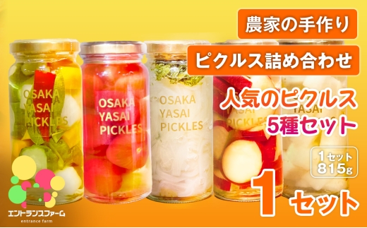 ＜農家の手作り ピクルス詰め合わせ！＞人気のピクルス5種セット(1セット・計5本) 【m104-09-A】【エントランスファーム】