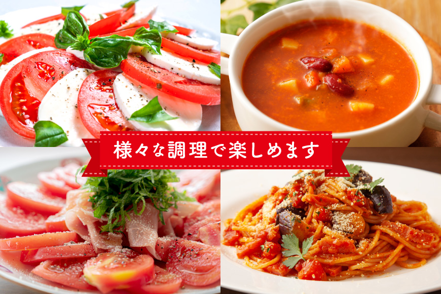 【期間限定発送】波乗り トマト とまたん 4kg (20個入) [サンフレッシュ小泉農園 宮城県 気仙沼市 20564139] 野菜 とまと 国産 夏野菜 やさい さっぱり サラダ サッパリ 新鮮 甘