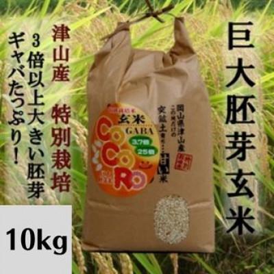 ふるさと納税 津山市 【突鉱土育ち】巨大胚芽米CoCoRo 10kg