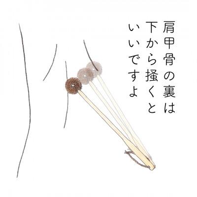 ふるさと納税 海南市 高田耕造商店　しゅろのやさしいたわし　孫の手 |  | 02