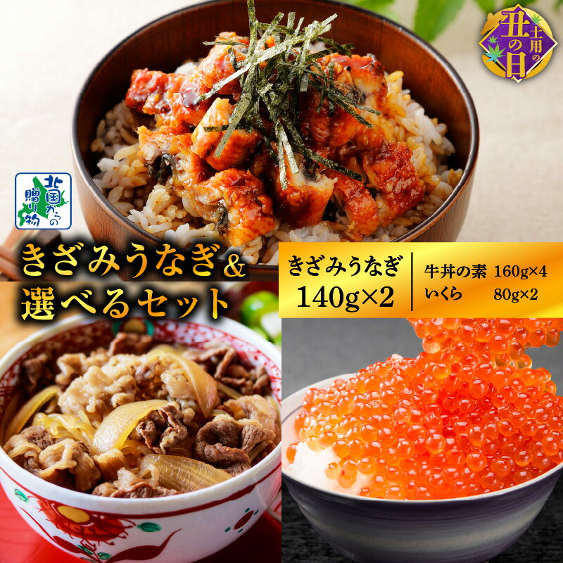 【ふるさと納税】【数量限定】【訳あり】【土用の丑の日までにお届け】 五郎藤 国産きざみ鰻 140g 2パック 選べるセット いくら醤油漬け / 黒毛和牛で作った牛丼の素 食べ比べ うなぎ いくら 牛丼 ご飯のお供 冷凍 お取り寄せ 大阪府 泉佐野市 送料無料 先行予約