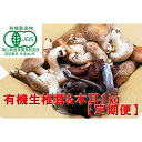 【ふるさと納税】【 産地直送 】 有機JAS 生椎茸 800g ＆ 生きくらげ 200g 定期便 3ヶ月 オーガニック しいたけ 椎茸 きくらげ きのこ 野菜 岡山県 玉野市 栽培期間中化学肥料不使用 栽培期間中農薬不使用　定期便・きのこ 野菜 野菜セット