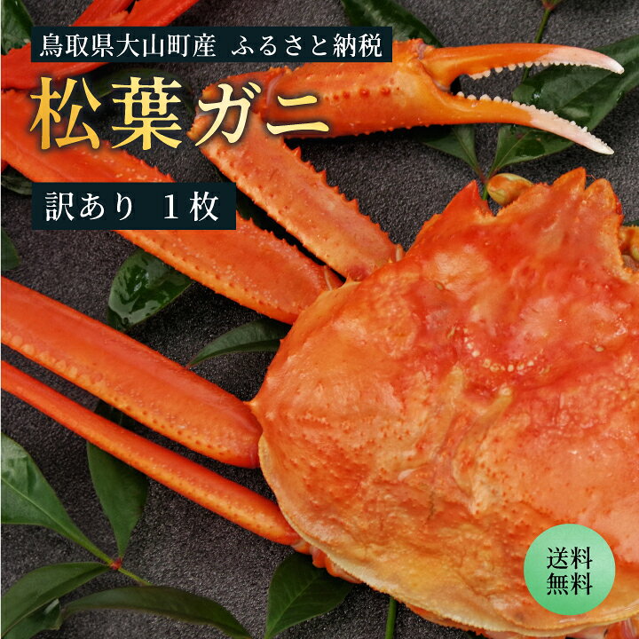 【ふるさと納税】OM-31【訳あり】【土日到着限定】足1本折れボイル松葉ガニ（600〜700gを1枚) 約3-4人前　鳥取県産 松葉ガニ 欠け 規格外 ズワイガニ かに 松葉蟹 キズ 松葉がに 蟹 海鮮 大山町【11月下旬以降発送】【年内発送】