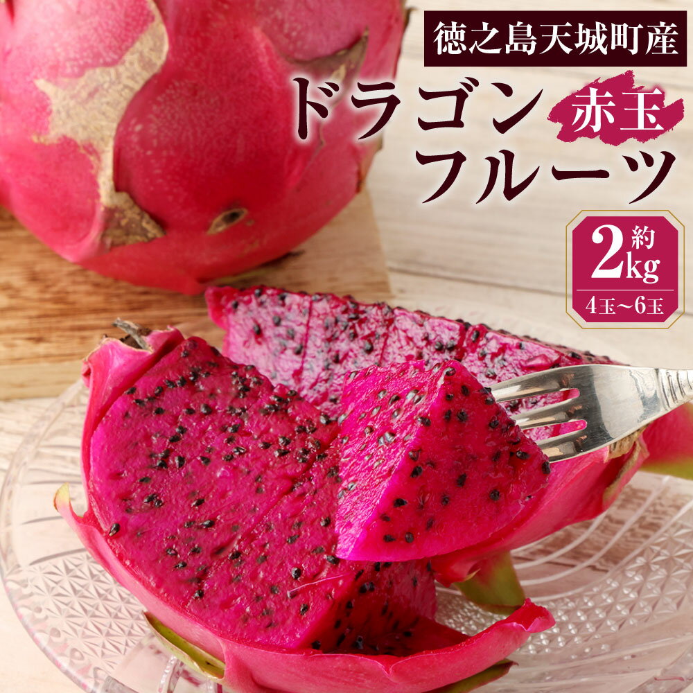 【ふるさと納税】【2025年発送】徳之島 天城町産 ドラゴンフルーツ 赤玉 約2kg 4～6玉 ご家庭用 ピタヤ 南国 フルーツ トロピカルフルーツ 果物 美容 健康 鹿児島県 送料無料 AJ-4-N