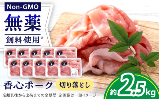 『香心ポーク』切り落とし 約250g×10パック（計約2.5kg）豚肉 冷凍 熊本県産 【有限会社 コーシン】 豚肉 切り落とし 国産 熊本県 熊本 冷凍 大容量 約2.5kg 小分け 250g 炒め物 豚汁 豚丼 肉じゃが 生姜焼き 小間切れ 煮物 万能 使いやすい こま切れ おかず セット  [AYCK017]