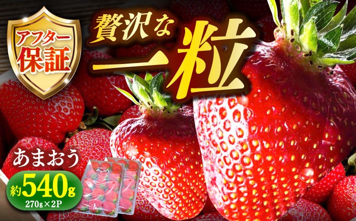 【先行予約】農家直送 朝採り新鮮いちご【博多あまおう】約270g×2パック【2027年1月以降順次発送】《築上町》【株式会社H&Futures】[ABDG001]