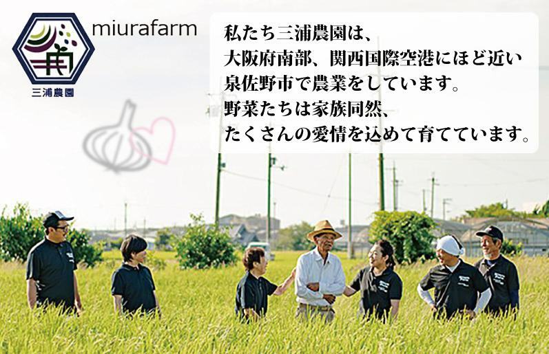 【先行予約】 数量限定 幻のたまねぎ 泉州黄玉ねぎ 10kg【新鮮 野菜 泉佐野産 茄子 やさい 高評価 数量限定】 010B259_イメージ3