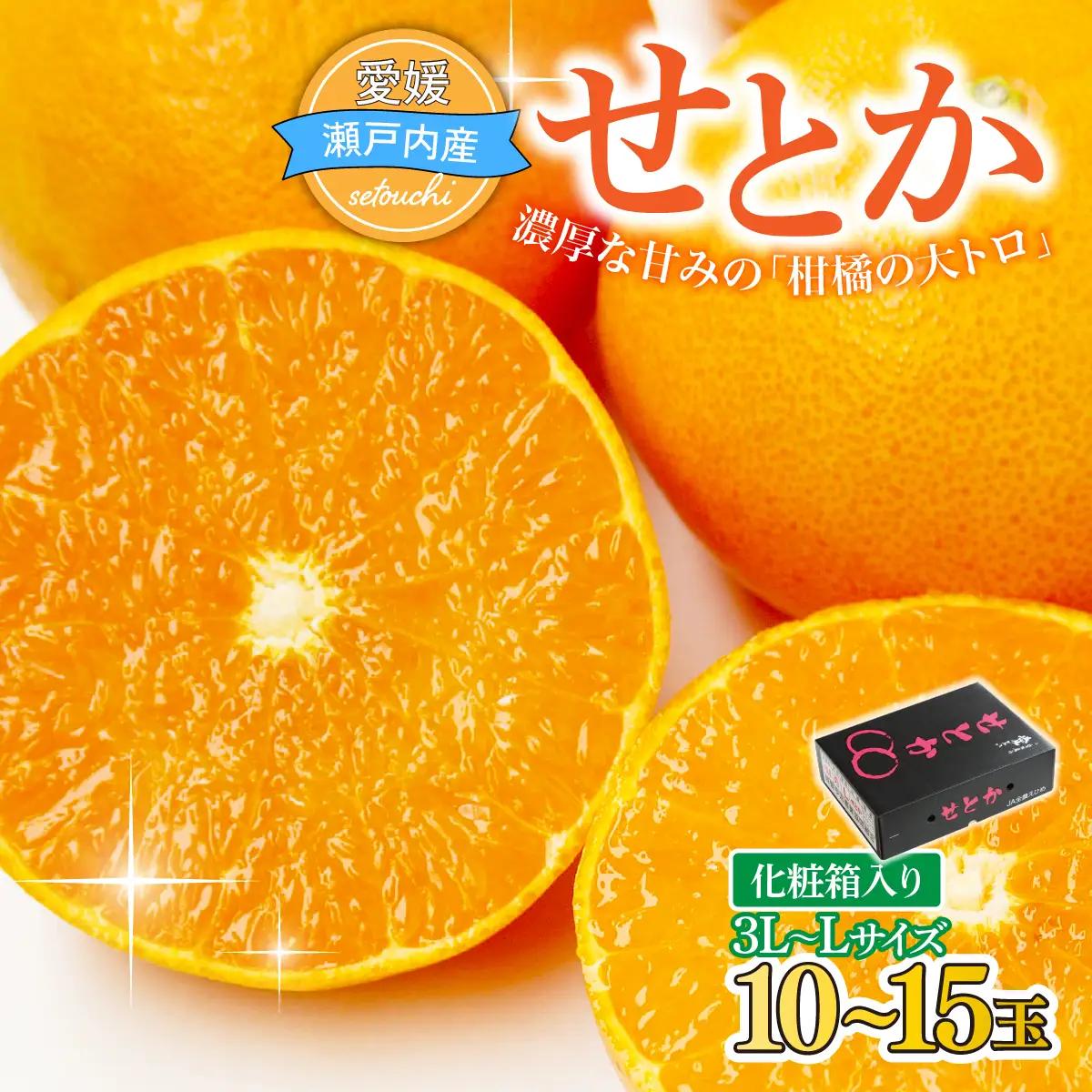 みかん せとか 化粧箱 3L～Lサイズ 10～15玉
