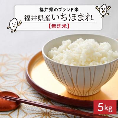 ふるさと納税 坂井市 【令和7年産】福井県のブランド米 いちほまれ 無洗米 5kg[A-6176]