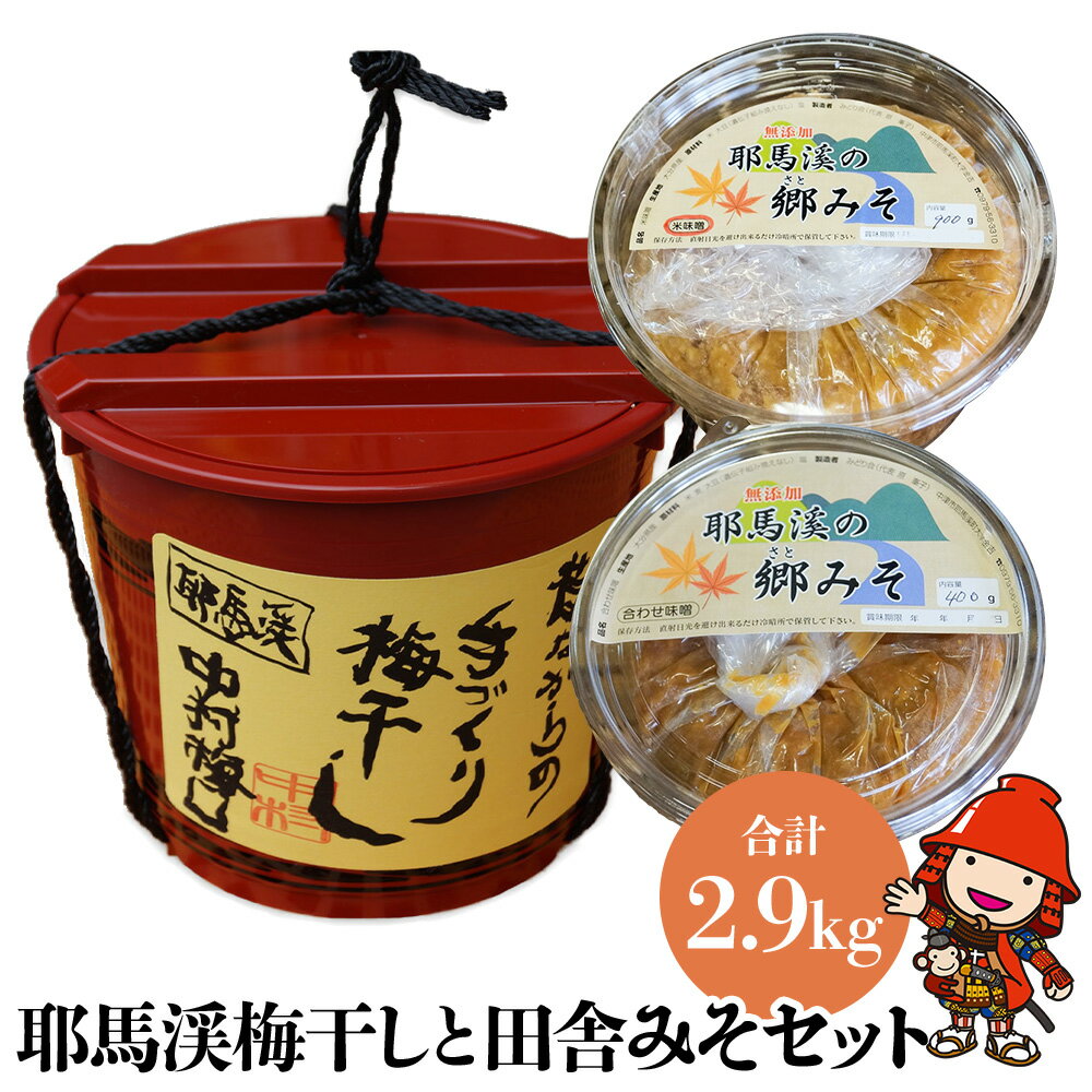 【ふるさと納税】耶馬渓梅干しと田舎みそセット 梅干し 1.3kg 米味噌 合わせ味噌 | 郷みそ工房 中村梅園 自家製シソ 梅干 大分県産 九州産 中津市 国産 送料無料