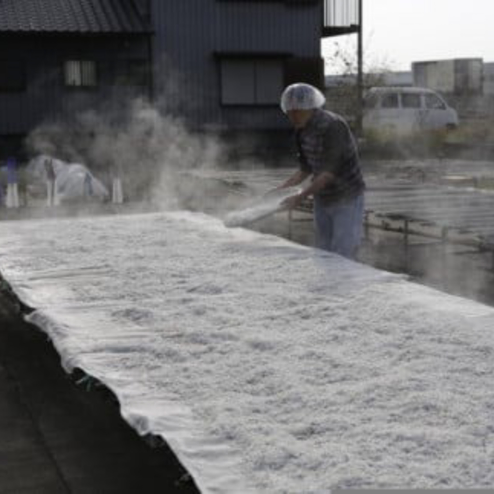 【土佐湾からの贈りもの】しらす干し2kg（250g×8パック）