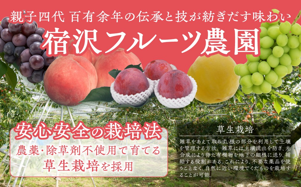 ピオーネ