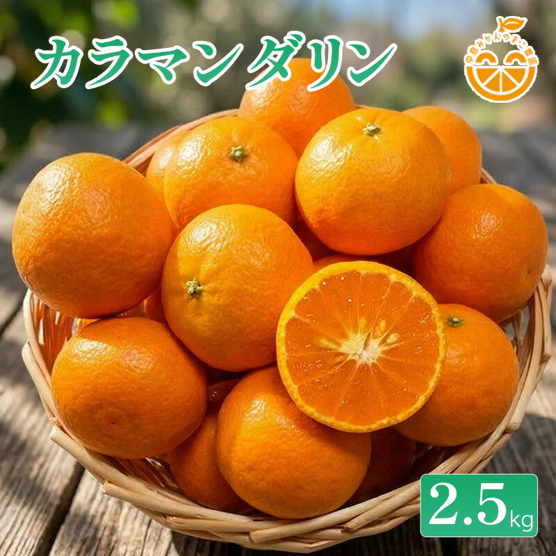 【ふるさと納税】 【2026年4月中旬順次発送予定】中島産 カラマンダリン 約2.5kg 中島みかんのまこ農園 | みかん ミカン オレンジ おれんじ カラマンダリン 柑橘 みかん 国産 春みかん フルーツ ふるさと納税 産地直送 愛媛 松山