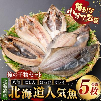 ふるさと納税 釧路市 俺の干物セット 北海道人気魚 計5枚 ( 八角 ・ にしん ・ ほっけ ・ カレイ )