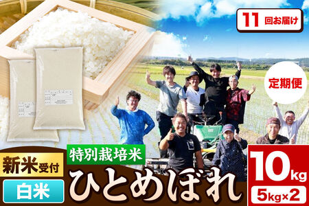 《新米予約》《定期便11ヶ月》令和8年産【白米】特別栽培米 ひとめぼれ 10kg（5kg×2袋）秋田県産 [ひとめぼれ 米 お米 白米 精米 特別栽培米 ブランド米 食卓 秋田県産 秋田県 由利本荘市]