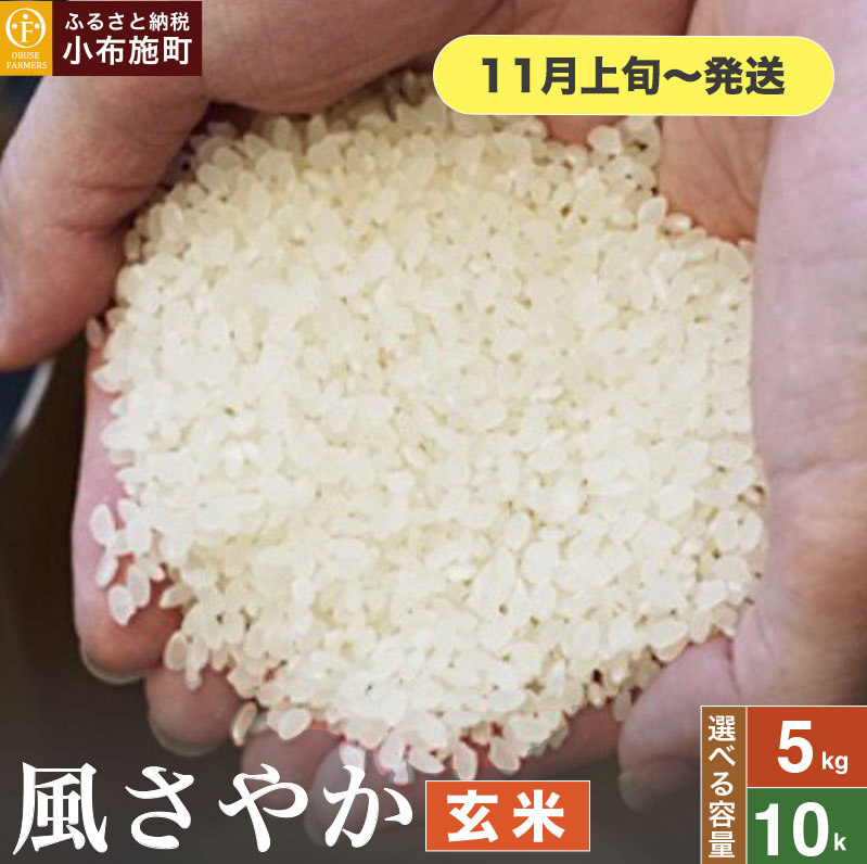 【ふるさと納税】 風さやか 玄米 約5kg 約10kg 選べる容量［おぶせファーマーズ］ お米 米 おこめ こしひかり 長野県産【2025年11月上旬～発送】