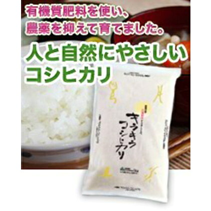 【ふるさと納税】特別栽培米キラキラコシヒカリ 5kg お米