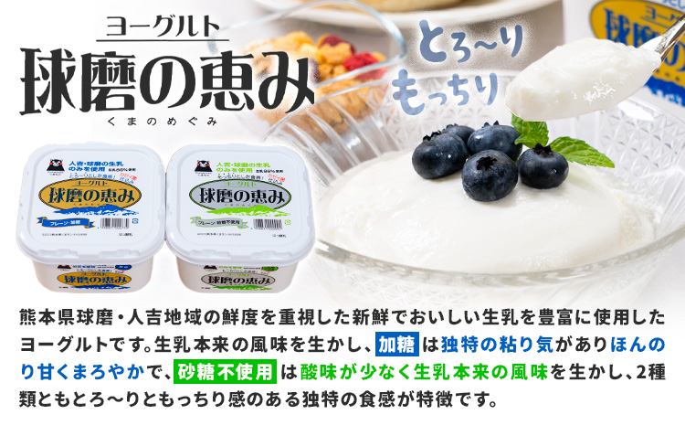 球磨の恵み ヨーグルト 1000g × 4個 球磨酪農農業協同組合《30日以内に出荷予定(土日祝除く)》熊本県 球磨郡 山江村 球磨の恵みヨーグルト 加糖 砂糖不使用 熊本県産 生乳 使用---ym_