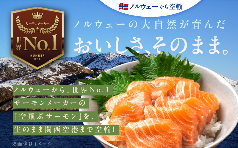アトランティックサーモン 1kg以上 小分け 500g以上×2P【フィレ エコパック 訳あり サイズ不揃い 世界No.1サーモンメーカー 刺身 海鮮丼 サラダ 総量 1kg以上 鮭 さけ シャケ しゃ