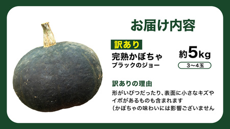【 訳アリ 】完熟かぼちゃ ブラックのジョー 5kg（3～4玉）