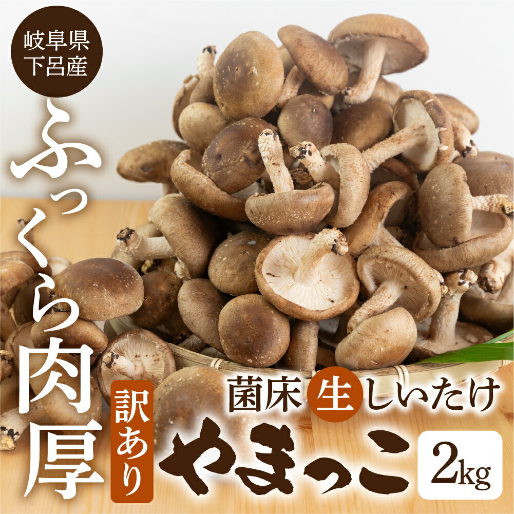 【ふるさと納税】【期間限定】（2025年11月から順次発送）　 訳あり 菌床 生椎茸 詰め合わせ 2kg 生しいたけ 国産 産地直送 生シイタケ シイタケ 椎茸 しいたけ 10000円 岐阜県 下呂市 訳アリ BBQ 肉厚 ブランド きのこ キノコ 茸 煮物 大容量 肉厚